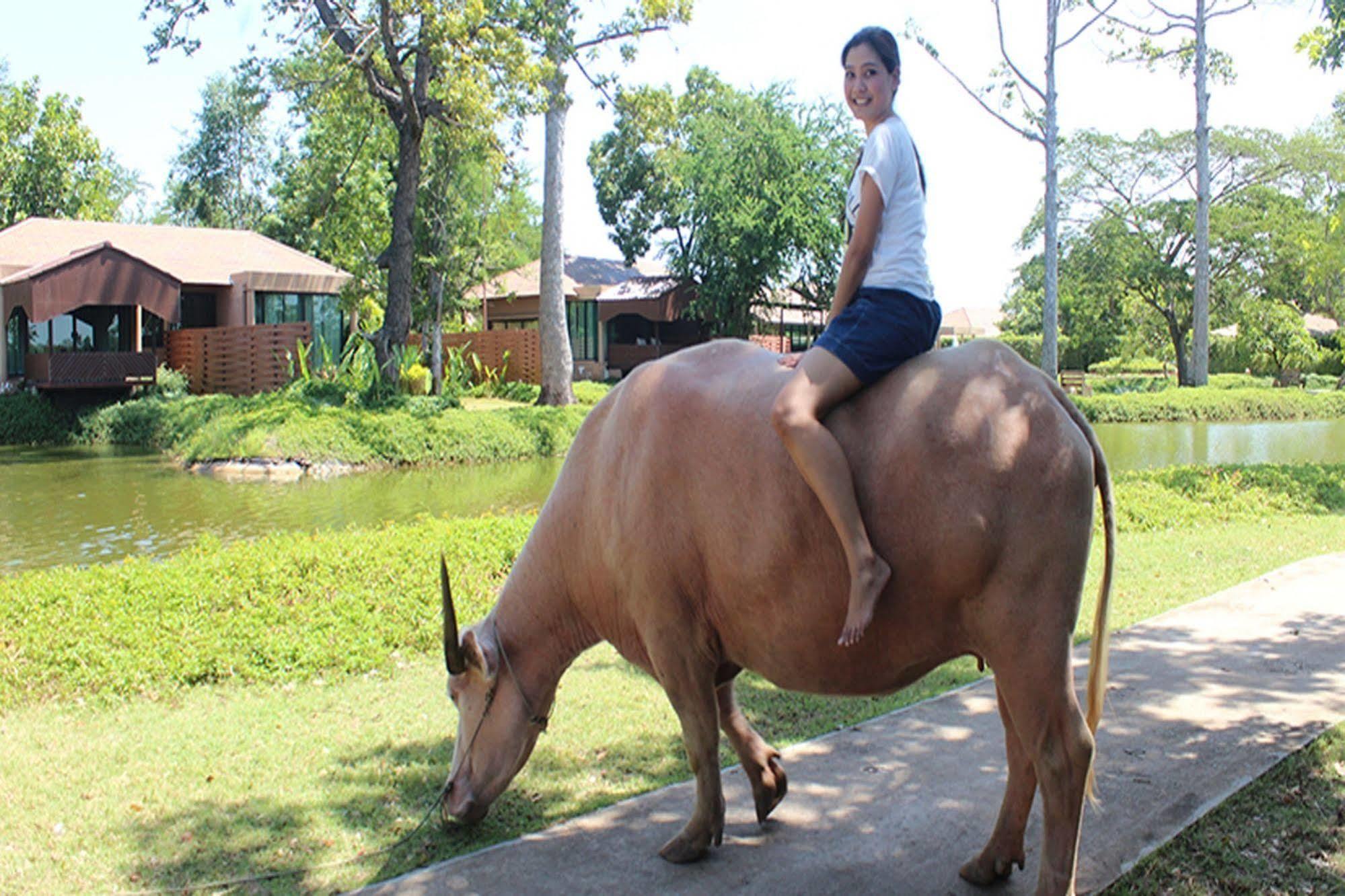 Wishing Tree Resort, Khon Kaen Buitenkant foto